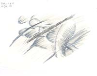 bb_img002
