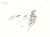 htf_img001