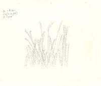 htf_img003